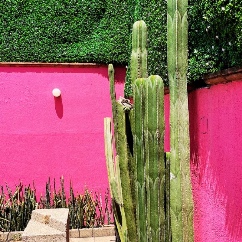 Casa Kelly