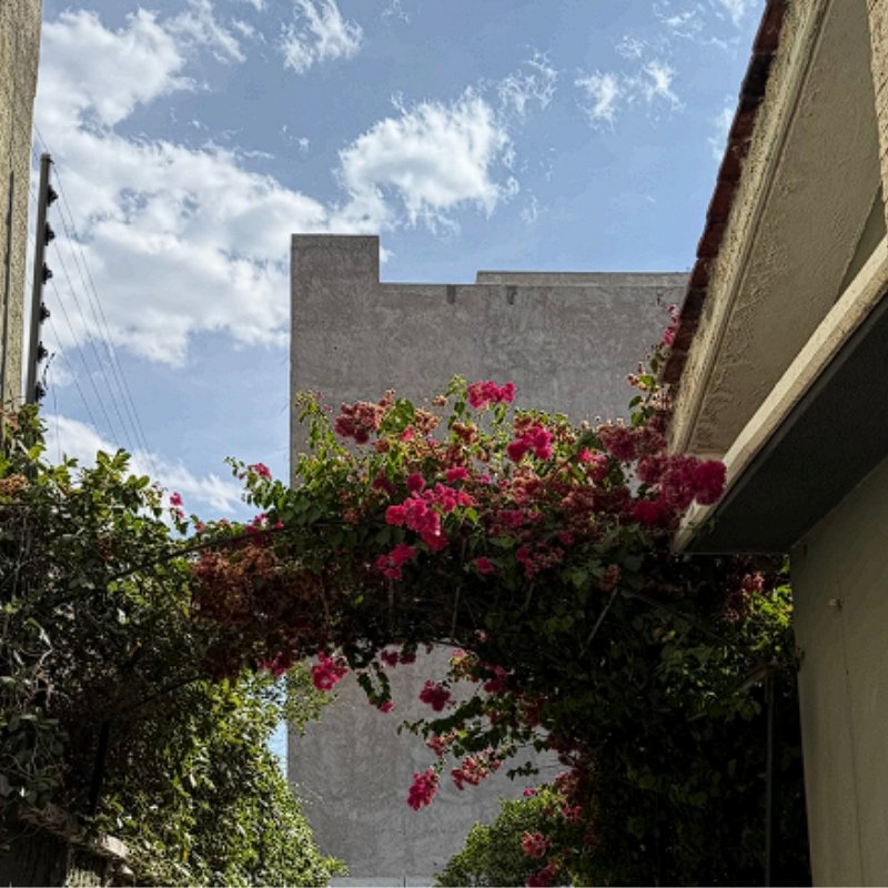 inmobiliarias en león gto